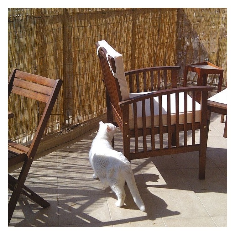 Canniccio Arella Stuoia  200x300cm